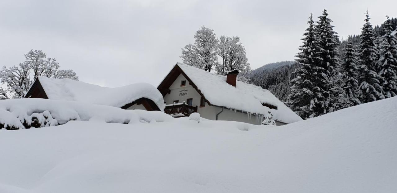 Ferienhaus Poettler Untertauern Εξωτερικό φωτογραφία